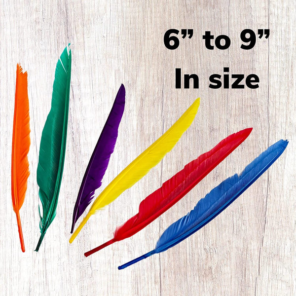 ALAZCO 120 pcs Colorful Goose Feathers Natural Feathers for DIY Crafts –  Alazco