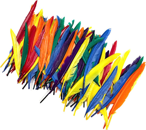 ALAZCO 120 pcs Colorful Goose Feathers Natural Feathers for DIY Crafts Assorted Sizes 6” to 9” in Red, Yellow, Blue, Green, Orange and Purple